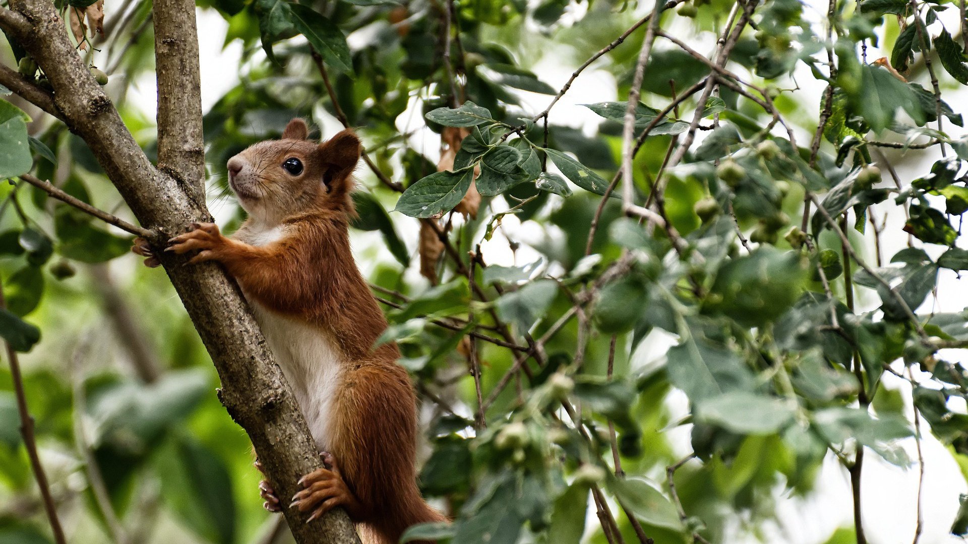 2022年季后赛:库里在第三节一人投中五个三分,瞬间锁定胜局,库里本赛季投进了多少三分