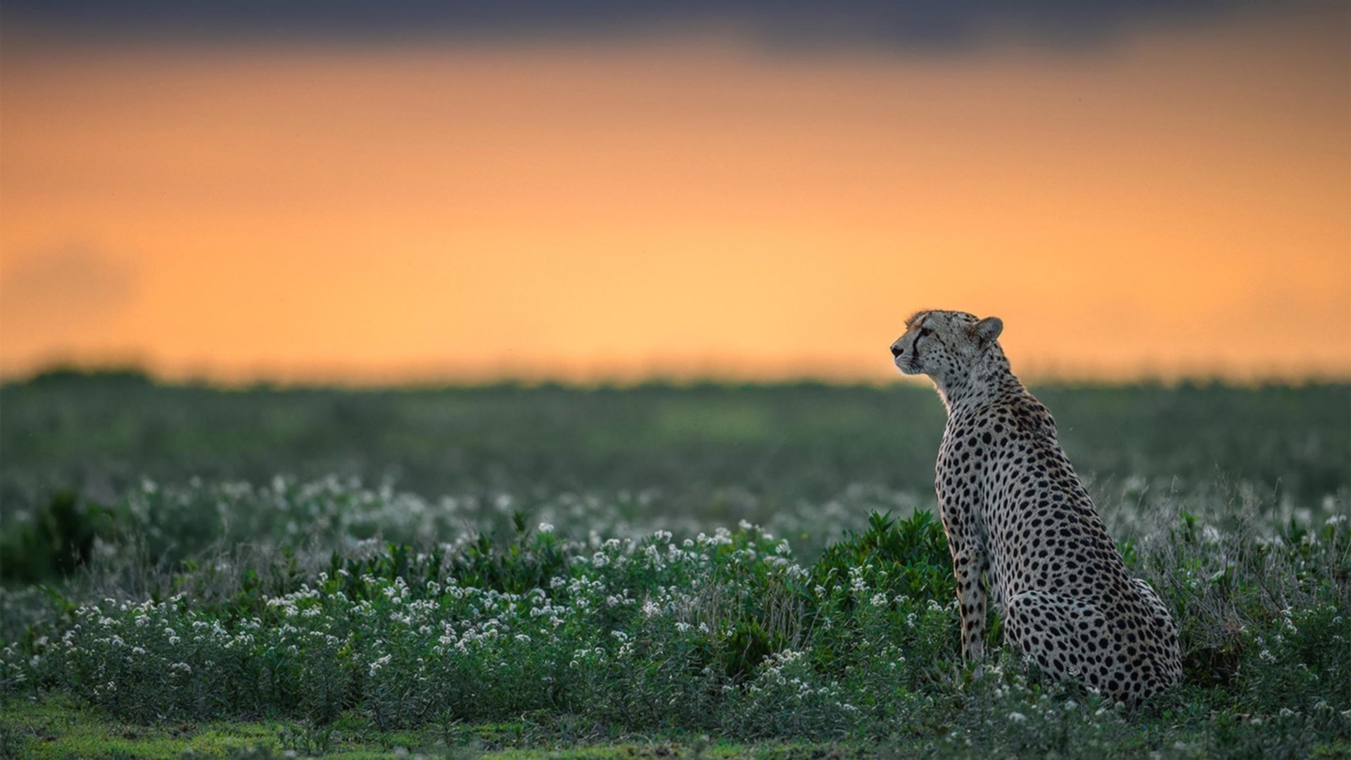 _水上障碍冒险:潜入水底挑战极限_,水下障碍