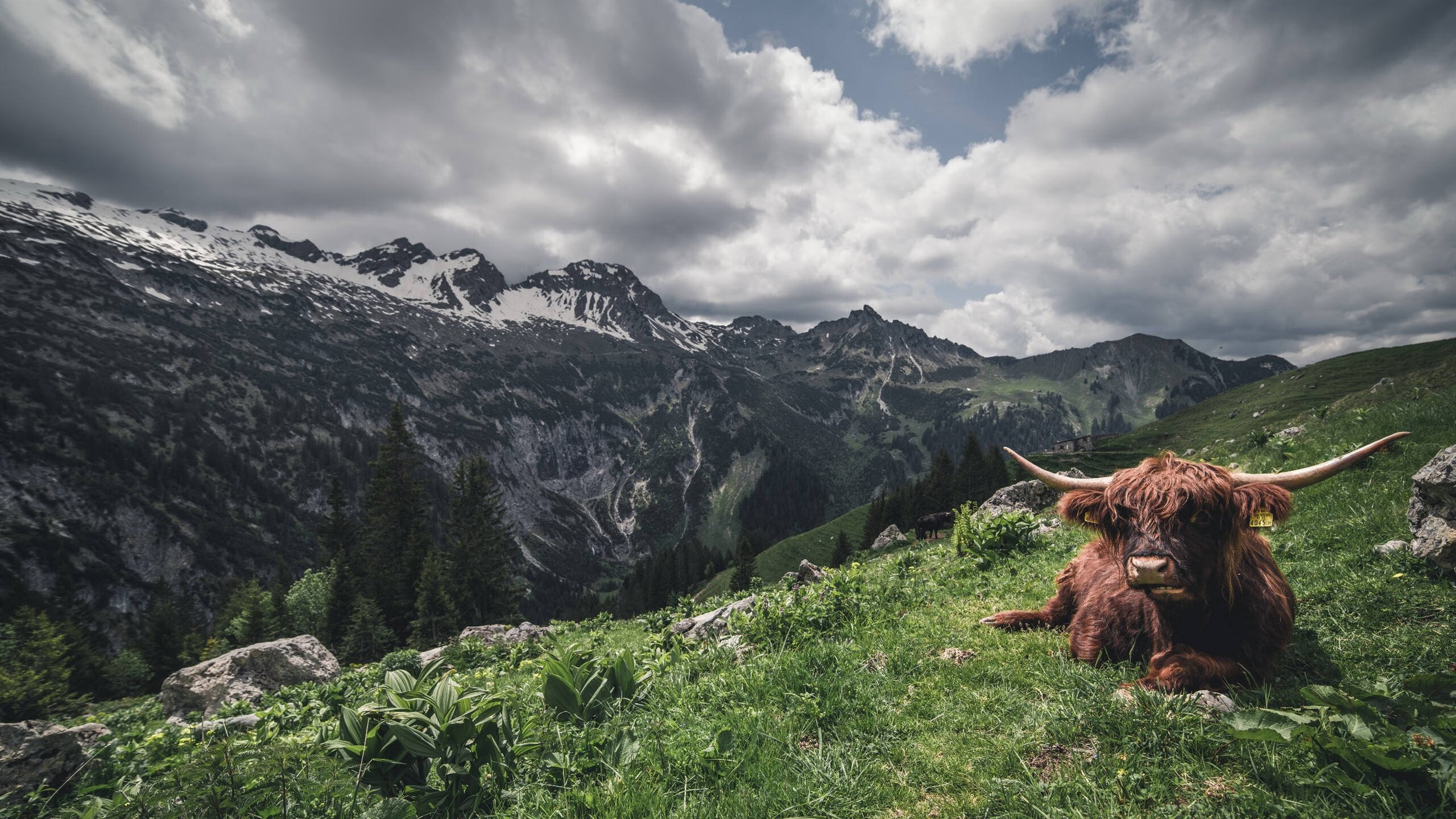 “足球文化节在多个城市同时举行,丰富体育生活”,足球文化艺术节