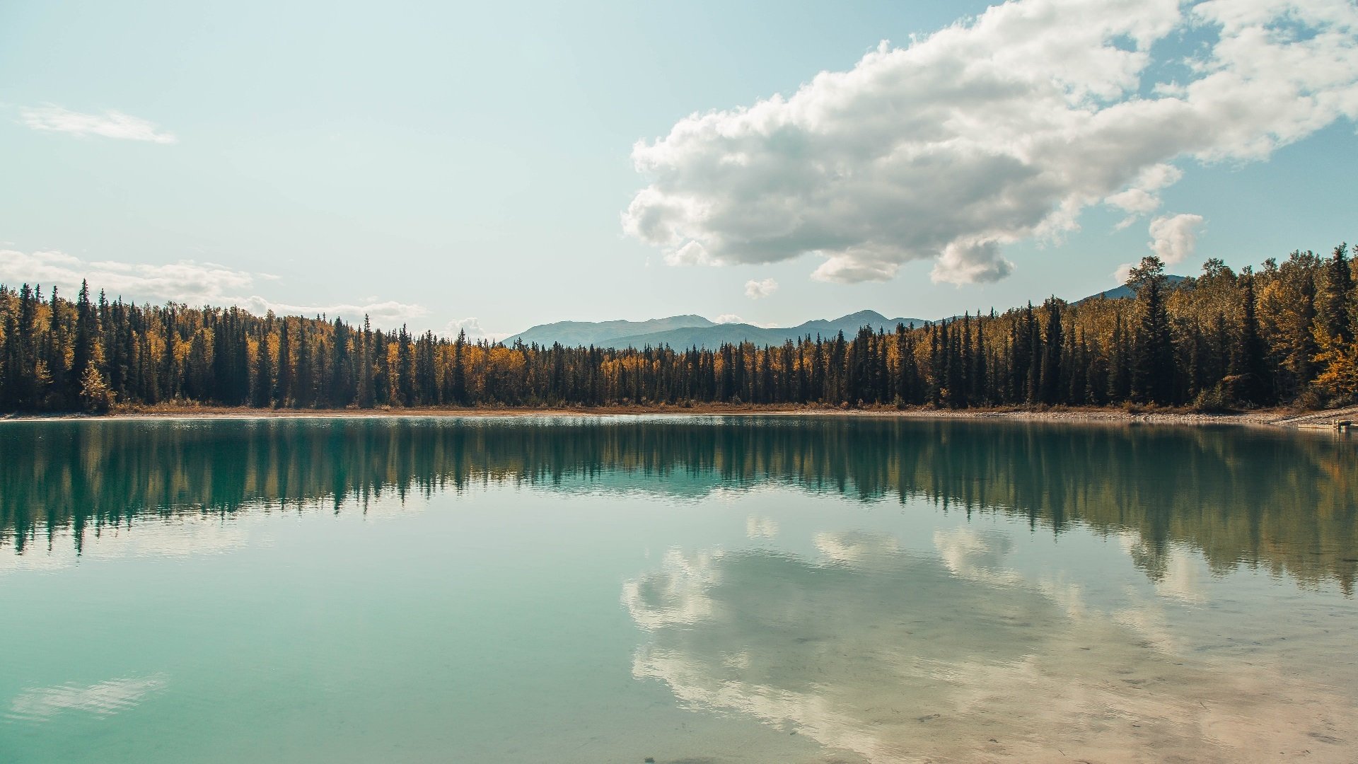 【全能型球员】亚伦·诺拉场上场场表现稳定,亚伦弱什么