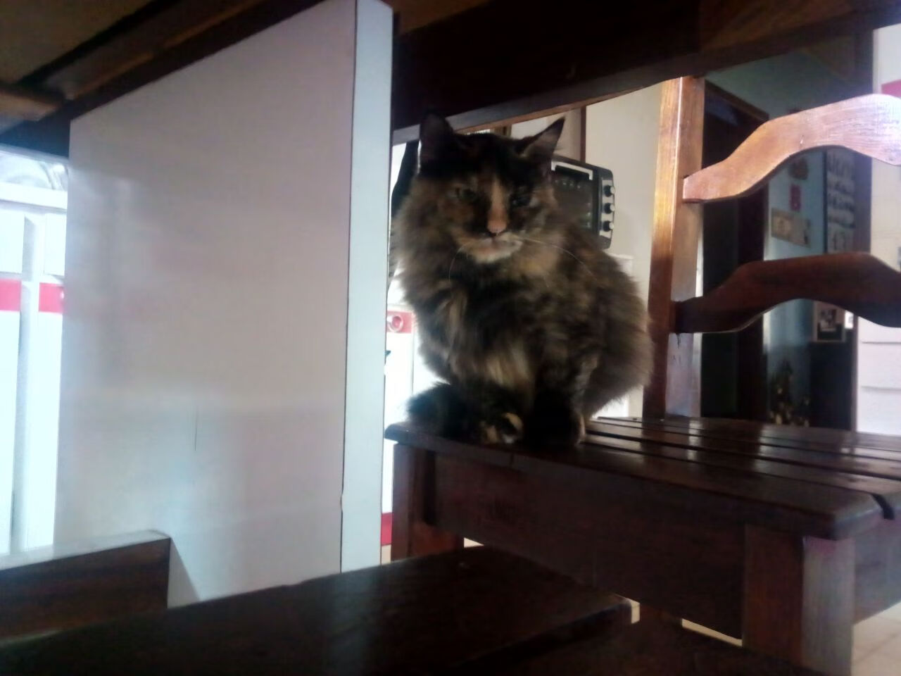 【心态训练】比赛中保持专注力和稳定性的心理技巧,比赛如何调整心态