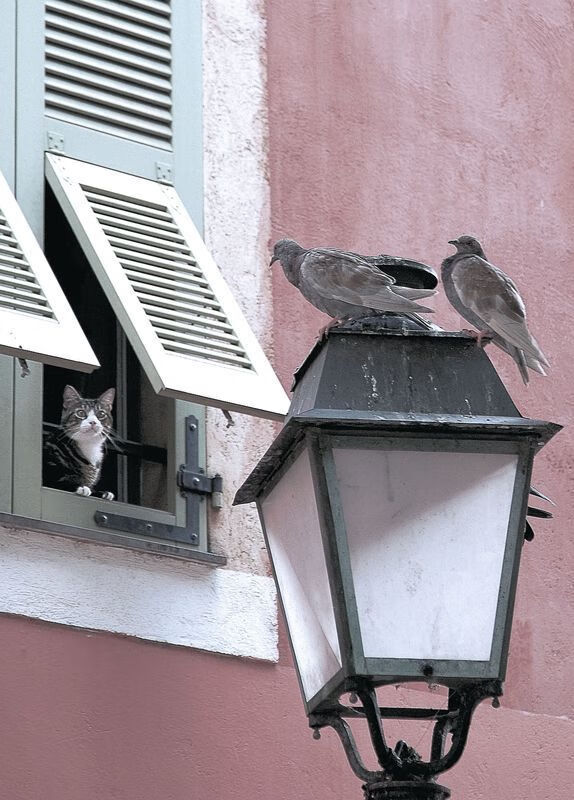 【设备维护】确保球桌弹性与平整性的实用方法,台球桌平整度怎么校验