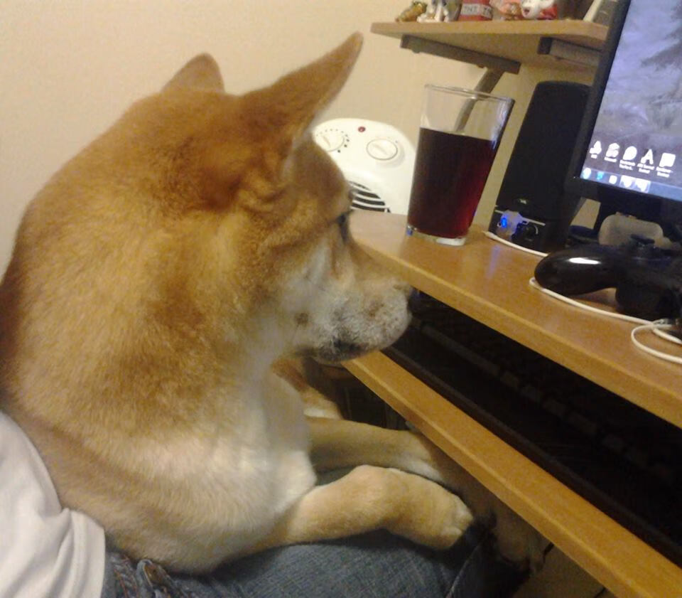 九游游戏中心官网-传统射箭技艺比赛，古老技艺的现代呈现，射箭技艺高超